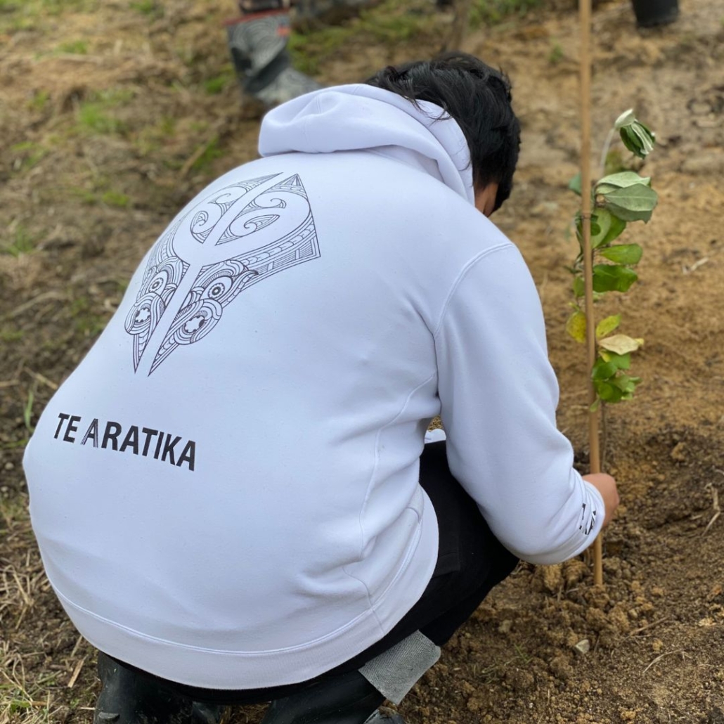 Te Aratika SchoolDoc